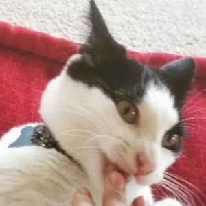 Meet your Posher, Kelsey